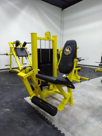 LEG EXTENSION 