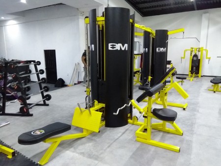 JUNGLA DE 8 ESTACIONES 