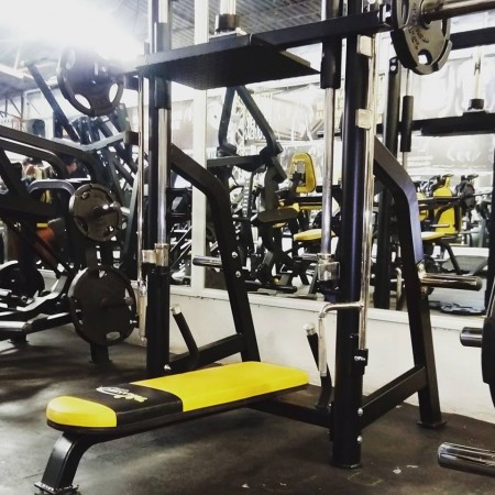 LEG PRESS VERTICAL 