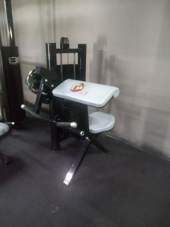 MAQUINA DE NICEPS/ TRICEPS